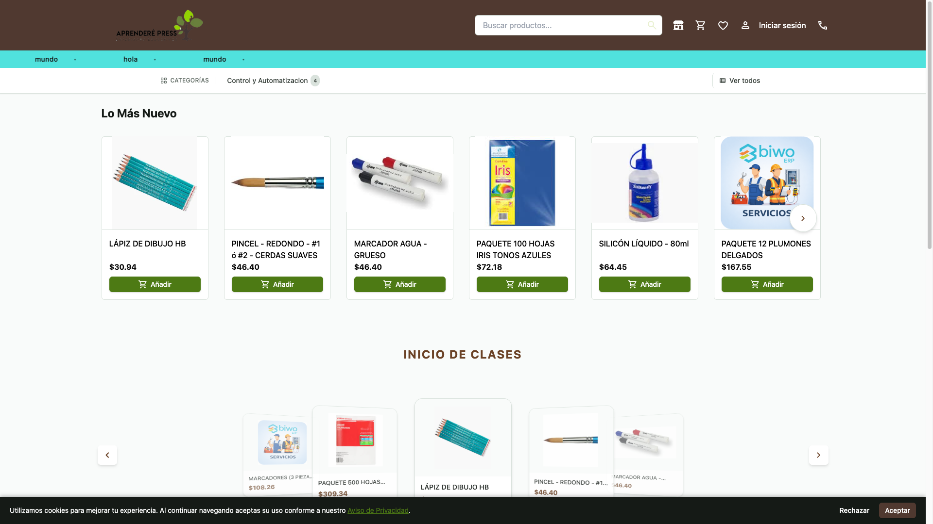 Imagen temporal del módulo E-Commerce en BIWO ERP
